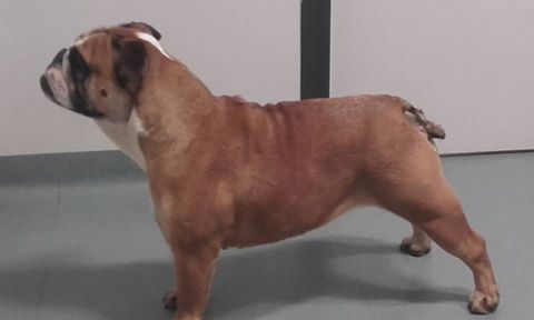 Jouvence de lancome Of Carlibull
